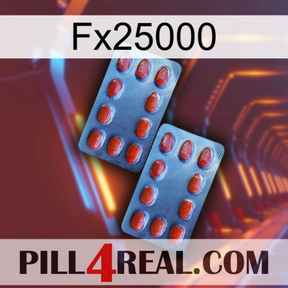 Fx25000 05